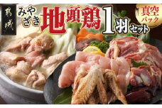 【たしろ屋】みやざき地頭鶏1羽セット_MJ-9912_(都城市) 都城市産 みやざき地頭鶏 真空