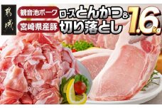 観音池ポークロースとんかつ用【訳あり】&宮崎県産豚切り落とし1.6kgセット_AA-9234_(都城市) 観音池ポーク ロース とんかつ用 不揃い 訳あり 国産豚肉 ウデ・モモ 切落とし