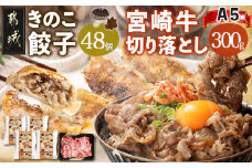 きのこ餃子48個&宮崎牛(A5)霜降り切り落し300g_18-8701_(都城市) ギョウザ 12個入り 4パック 椎茸 きくらげ 都城産ブランド豚 きなこ豚 きゃべつ ニラ ニンニク使用 ヘルシー餃子 大杉しいたけ園 都城産宮崎牛 切り落し 肩 バラ 霜降り