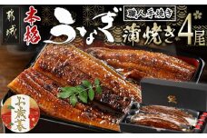 【お歳暮】職人手焼きの本格うなぎ蒲焼き4尾≪11月17日～12月21日お届け≫_AD-3301-WG_(都城市) 国産 本格 うなぎ 鰻 蒲焼