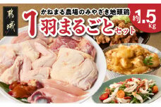 かねまる農場のみやざき地頭鶏1羽まるごとセット_MJ-J705_(都城市) 真空パック 地頭鶏 じとっこ 1羽まるごと 平飼い飼育 みやざき地頭鶏 地鶏 1羽 モモ肉 ムネ肉 ササミ 手羽先 手羽元 砂肝 レバー ガラ