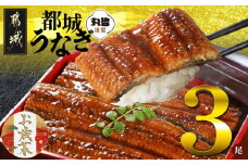 【お歳暮】宮崎県育ちのうなぎ蒲焼3尾500g以上≪山椒・たれ付≫≪11月17日～12月21日お届け≫_AC-M301-WG_(都城市) うなぎ蒲焼(有頭) 宮崎県産 真空 山椒・たれ付 ギフト お歳暮