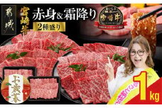 【お歳暮】宮崎牛焼肉2種セット500g×2パック≪11月17日～12月21日お届け≫_17-N202-WG_(都城市)  霜降り 食べ比べ 肩ロース ウデ モモ 焼き肉 BBQ バーベキュー 牛肉 とろける ギャル曽根さんおすすめの牛肉返礼品 ギフト