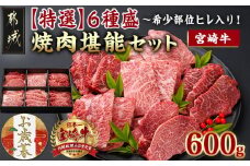 【お歳暮】≪希少部位ヒレ入り!≫ 宮崎牛【特選】6種盛 焼肉堪能セット 600g≪11月17日～12月21日お届け≫_24-6502-WG_(都城市) 宮崎県産 宮崎牛 焼肉6種盛 各100g ロース 肩ロース ヒレ ウデ バラ モモ 国産牛 ブランド牛 贈答用にも ギフト お歳暮