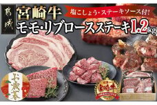 【お歳暮】宮崎牛モモ・リブロースステーキ1.2kgセット≪11月17日～12月21日お届け≫_AD-2510-WG_(都城市) ステーキ食べ比べ 都城産 宮崎牛 モモ 100g  サイコロステーキ 200g リブロースステーキ 300g 塩こしょう ステーキソース付 ギフト お歳暮