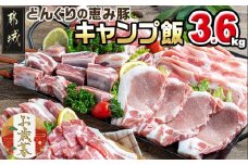 【お歳暮】「どんぐりの恵み豚」キャンプ飯3.6kgセット≪11月17日～12月21日お届け≫_17-1104-WG_(都城市) 都城産豚 どんぐりの恵み ロースステーキ バラワイルド焼肉 肩ロース焼肉 モモ焼きそば用 ウデ大判スライス スペアリブ焼肉 真空包装 3.6キロ 200g 300g BBQ キャンプ ギフト お歳暮