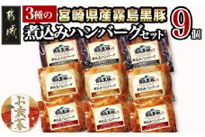 【お歳暮】霧島黒豚 3種の煮込みハンバーグギフト (デミグラスソース仕立て・和風おろしソース仕立て・大人の照焼きソース仕立て)≪11月17日～12月21日お届け≫_AA-2804-WG_(都城市) 霧島黒豚 煮込みハンバーグ デミグラス 和風おろし 照焼き ギフト 贈答用