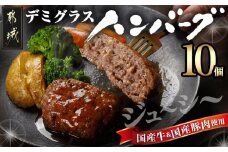 国産の牛豚合挽☆デミグラスハンバーグ10個_AA-3615_(都城市) デミグラス ハンバーグ 沸騰 簡単 ボイル 合挽き 真空個包装