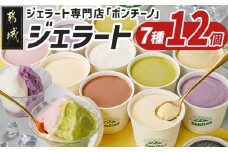 ジェラート専門店「ボンチーノ」7種12個セット_MJ-1565_(都城市) 