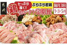 【セレクト定期便】～たっぷり～鶏定期便(3ヶ月)1月・3月・5月お届け≪2026年お届け≫_T41-MY02_(都城市) 定期便 宮崎県産若鶏 もも肉 国産若鶏 ムネ肉 ささみ