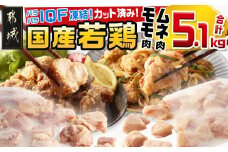 国産若鶏モモ肉&ムネ肉☆調理しやすいIQFカット済み!5.1kg_MJ-3649_(都城市) 国産 若鶏 モモ肉 500g 3袋 ムネ肉 600g 6袋 小分け 冷凍