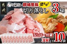 都城産豚切り落とし3kg(ジッパー付袋入り)300g×10パック_13-1510_都城市 都城産 豚肉 ウデ モモ 切り落とし チャック付き 大容量 小分け 冷凍 かさばらない 使い勝手抜群 豚肉 小分け 使いやすい 焼きそば カレー 生姜焼き 肉野菜炒め アレンジ