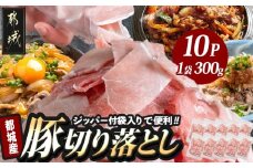 都城産豚切り落とし3kg(ジッパー付袋入り)_13-1510_都城市 都城産 豚肉 ウデ モモ 切り落とし チャック付き 小分け 冷凍 かさばらない 使い勝手抜群 豚肉 小分け 使いやすい 焼きそば カレー 生姜焼き 肉野菜炒め アレンジ