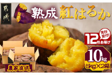 先行受付!【12月お届け】【農家直送】山下農園　熟成紅はるか 10kg_AA-I705-12_(都城市) 都城産 紅はるか S～2Lサイズ混合 山下農園 さつまいも兄弟 長期熟成 甘い