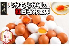 【年内お届け】よかもよか卵&紅白きみ恋卵≪2025年12月15日～31日お届け≫_AA-2914-HNY_(都城市) 