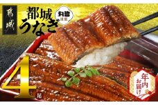 【年内お届け】宮崎県育ちのうなぎ蒲焼4尾720g以上≪山椒・たれ付≫≪2025年12月15日～31日お届け≫_AE-M301-HNY_(都城市) うなぎ蒲焼(有頭) 宮崎県産 真空 山椒・たれ付