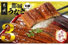 【年内お届け】宮崎県育ちのうなぎ蒲焼3尾500g以上≪山椒・たれ付≫≪2025年12月15日～31日お届け≫_AC-M301-HNY_(都城市) うなぎ蒲焼(有頭) 宮崎県産 真空 山椒・たれ付