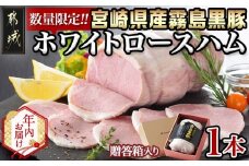 【年内お届け】宮崎県産 霧島黒豚!こだわり抜いたホワイトロースハム≪2025年12月15日～31日お届け≫_AE-2801-HNY_(都城市) 霧島黒豚 ロースハム サラダ サンドイッチ マリネ おつまみ 冷凍 ドイツ岩塩