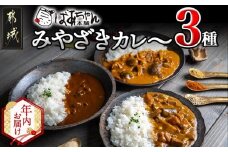 【年内お届け】みやざきカレー3種セット※ポスト投函≪2025年12月15日～31日お届け≫_LB-1502-HNY_(都城市) レトルトカレー 宮崎県産 黒毛和牛カレー 観音池ポーク 豚ごぼうカレー 都城産しいたけとベーコンカレー 湯煎調理 アウトドア 食べ比べ 1人暮らし ポスト投函