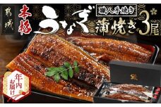 【年内お届け】職人手焼きの本格うなぎ蒲焼き3尾≪2025年12月15日～31日お届け≫_AC-3301-HNY_(都城市) 鰻蒲焼 3尾 (総重量450g以上) タレ付き (30ml×3個) 国産うなぎの蒲焼き 特製たれ付き 冷凍 ウナギ かば焼き うなぎ
