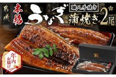 【年内お届け】職人手焼きの本格うなぎ蒲焼き2尾≪2025年12月15日～31日お届け≫_MJ-3305-HNY_(都城市) 国産 本格 うなぎ 鰻 蒲焼 宮崎 じっくり 特製タレ 香り豊かな ふっくら 香ばしい うなぎ