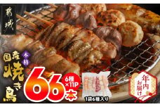 【年内お届け】職人串打ちの本格焼き鳥66本!!≪2025年12月15日～31日お届け≫_MJ-3312-HNY_(都城市) 焼鳥串 生冷凍串 冷凍生肉 もも 皮 手羽 小肉 砂肝 ぼんじり ねぎま ハラミ せせり つくね ふりそで 6本入り 11P 計2.1kg やきとり 焼き鳥 BBQ 鶏肉 国産 小分け
