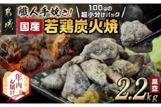 【年内お届け】≪超小分けパック≫職人手焼き!国産若鶏炭火焼2.2kg≪2025年12月15日～31日お届け≫_AA-3311-HNY_(都城市) 国産若鶏 若鶏炭火焼(もも・むね)  小分け 100g 宮崎名物 鶏炭火焼 おつまみ