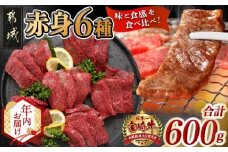 【年内お届け】宮崎牛赤身6種600g≪2025年12月15日～31日お届け≫_16-2601-HNY_(都城市) 牛肉 赤身 希少部位 食べ比べ 焼き肉 焼肉 BBQ ウデミスジ ウデ三角 ウデクリ とうがらし ウデ赤身 ウデカルビ 約100g 計600g 6種類セット