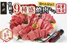 【年内お届け】【数量限定】宮崎牛9種盛り焼肉セット≪2025年12月15日～31日お届け≫_22-3101-HNY_(都城市) 宮崎牛 ラムシン マルシン イチボ サーロイン ザブトン 肩ロース ショートリブ カルビ 内モモ ギフト 贈答用 牛肉 タレ付き 肉 国産