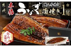 【年内お届け】職人手焼きの本格うなぎ蒲焼き1尾≪2025年12月15日～31日お届け≫_LG8-3310-HNY_(都城市) 国産 本格 うなぎ 鰻 蒲焼 宮崎 じっくり 特製タレ 香り豊かな ふっくら 香ばしい うなぎ 年末
