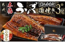 【お歳暮】職人手焼きの本格うなぎ蒲焼き3尾≪11月17日～12月21日お届け≫_AC-3301-WG_(都城市) 鰻蒲焼 3尾 (総重量450g以上) タレ付き (30ml×3個) 国産うなぎの蒲焼き 特製たれ付き 冷凍 ウナギ かば焼き うなぎ ギフト 贈答用