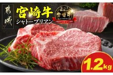 宮崎牛シャトーブリアンステーキ150gx8枚_AK-N201_(都城市) 宮崎県産宮崎牛 シャトーブリアン ステーキ ミヤチク ヒレ フィレ ヘレ 宮崎牛 牛肉