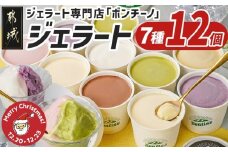 【☆クリスマス☆】ジェラート専門店「ボンチーノ」7種12個セット≪12月20日～23日お届け≫_MJ-1565-OJX_(都城市) 