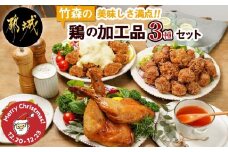 【☆クリスマス☆】美味しさ満点!鶏の加工品3種セット≪12月20日～23日お届け≫_AA-4403-OJX_(都城市) 電子レンジで簡単調理 塩麹唐揚げ チキン南蛮 鶏の照焼き 3種のおかずセット お惣菜 骨付き肉 国産若鶏 鶏肉加工品 からあげ 照り焼き 冷凍食品