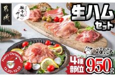 【☆クリスマス☆】「観音池ポーク」4種部位の生ハム950ｇセット≪12月20日～23日お届け≫_MJ-1505-OJX_(都城市) モモ生ハム ロース生ハム 霜降りタンのコリコリスモーク 生ベーコン ブランド豚のポークハム ポーク生ハム クリスマス