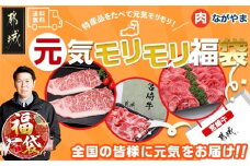 【福袋★2026】宮崎牛切り落とし・鉄板焼き用サーロイン2枚セット_AE-2501-F2026_(都城市)  A4 4等級 牛肉 牛バラ切り落とし肉 牛ウデ 牛モモ切り落とし肉 各500g