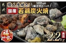 【福袋★2026】≪超小分けパック≫職人手焼き!国産若鶏炭火焼2.2kg_AA-3311-F2026_(都城市) 国産若鶏 若鶏炭火焼(もも・むね)  小分け 100g 宮崎名物 鶏炭火焼 おつまみ