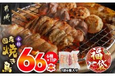 【福袋★2026】職人串打ちの本格焼き鳥66本!!_MJ-3312-F2026_(都城市) 焼鳥串 生冷凍串 冷凍生肉 もも 皮 手羽 小肉 砂肝 ぼんじり ねぎま ハラミ せせり つくね ふりそで 6本入り 11P 計2.1kg やきとり 焼き鳥 BBQ 鶏肉 国産 小分け