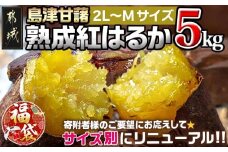 【福袋★2026】島津甘藷 熟成紅はるか 5kg(2L～M)_LD-A701-F2026_(都城市) さつまいも 幻のサツマイモ 幻の品種 紅はるか 5kg 2L～M べにはるか 芋 生芋 焼き芋に!! ベジエイト 熟成 芋 定番 焼き芋 アウトドア