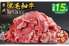 【福袋★2026】【黒毛和牛】切り落とし1.5kg(250g×6パック)_18-I901-F2026_(都城市) 牛肉 国産 黒毛和牛 外モモ ウデ マル バラ モモ ブリスケ 切り落とし 部位ミックス 250g 6パック 小分け 牛肉 炒め物  ブリスケ 