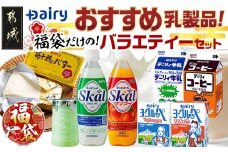 【福袋★2026】デーリィおすすめ乳製品★福袋だけのバラエティーセット!_18-2303-F2026_(都城市) 乳性炭酸飲料 愛のスコール マンゴー 500ml 乳酸菌飲料 ヨーグルッペ ヨーグルッペりんご デーリィ 牛乳 コーヒー サワーメロン 高千穂バター