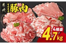 宮崎県産豚肉たっぷり4.7kgセット_AC-N202_(都城市)   ギャル曽根さんおすすめの豚肉返礼品 豚肉