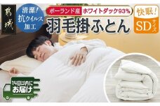 抗ウイルス加工羽毛掛ふとん ポーランド産ホワイトダック93%【SD】≪みやこんじょ快速便≫_117-E102-R_(都城市) 羽毛布団 寝具 抗菌防臭加工 ダウン SEKアレルGプラス加工 日本製 掛け布団 セミダブル