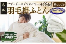 羽毛掛ふとん ポーランド産マザーグース95%440dp【S】≪みやこんじょ快速便≫_AK-E103-R_(都城市) 羽毛布団 寝具 抗菌防臭加工 ダウン SEKアレルGプラス加工 日本製 掛け布団 シングル