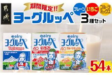 ◆期間限定◆ヨーグルッペプレーン&いちご&フルーツミックス54本セット_13-2306_(都城市) 