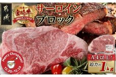 【☆クリスマス☆】宮崎牛サーロインブロック(1kg)≪12月20日～23日お届け≫_38-N401-OJX_( 都城市 )  牛肉 宮崎県産 宮崎牛 サーロイン ステーキ 焼肉 BBQ 4等級以上 サシ ブロック 1kg 自分好みのステーキに！　クリスマス