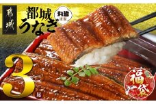 【福袋★2026】宮崎県育ちのうなぎ蒲焼3尾500g以上≪山椒・たれ付≫_AC-M301-F2026_(都城市) うなぎ蒲焼(有頭) 宮崎県産 真空 山椒・たれ付
