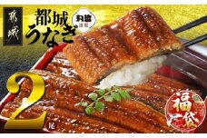 【福袋★2026】宮崎県育ちのうなぎ蒲焼2尾300g以上≪山椒・たれ付≫_13-M301-F2026_(都城市) うなぎ蒲焼(有頭) 宮崎県産 真空 山椒・たれ付