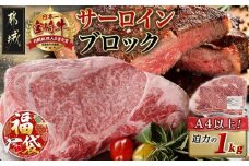 【福袋★2026】宮崎牛サーロインブロック(1kg)_38-N401-F2026_( 都城市 )  牛肉 宮崎県産 宮崎牛 サーロイン ステーキ 焼肉 BBQ 4等級以上 サシ ブロック 1kg 自分好みのステーキに！