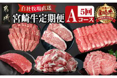 宮崎牛定期便(5回お届け) Aコース_TAC5-2501_(都城市) 宮崎牛 食べ比べ  バラ ウデ モモ カルビ サーロイン 肩ロース 切り落とし ブロック ステーキ スライス 5回 すき焼き 牛丼 炒め物 焼肉 